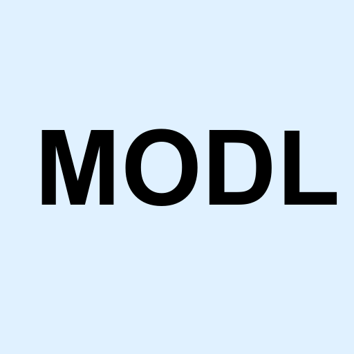 Stock modl logo