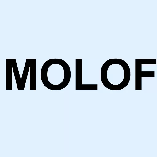 Molori Energy Inc. Logo