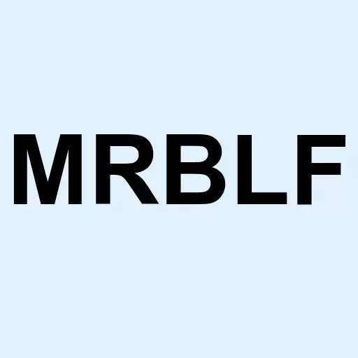 Marble Financial Inc Logo