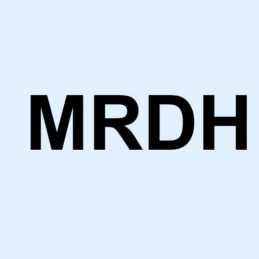 Meridian Holdings Inc Logo
