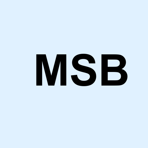 Stock msb logo