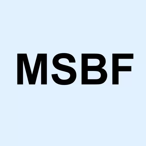 MSB Financial Corp. Logo