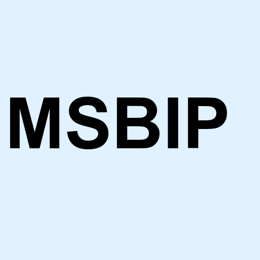 Stock msbip logo