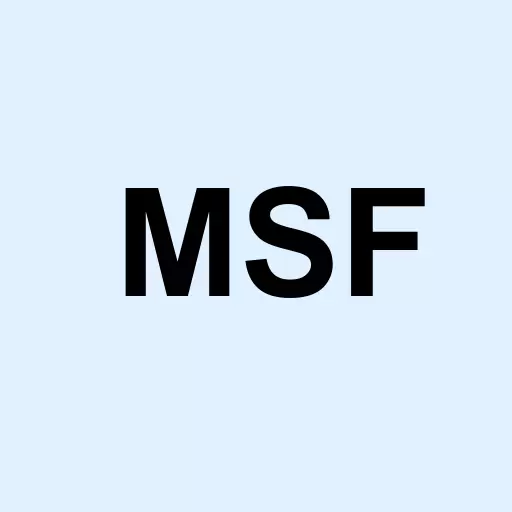 Morgan Stanley Emerging Markets Fund Inc. Logo