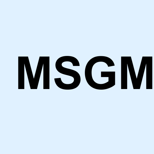 Stock msgm logo