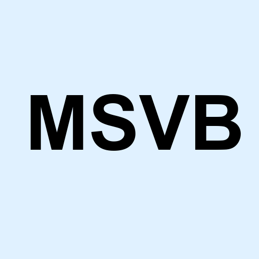 Stock MSVB logo