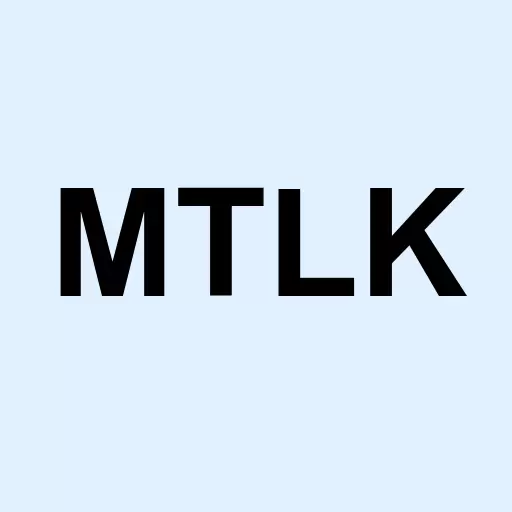 Metalink Ltd Logo