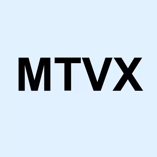 APT Moto Vox Group Inc Logo