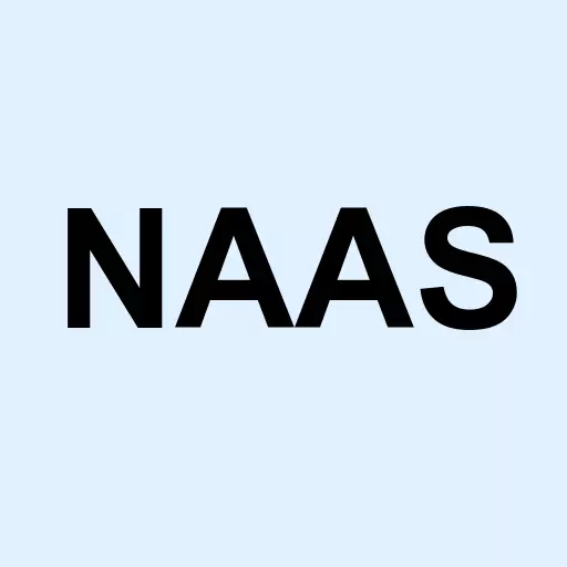 Naas Technology Inc. Logo
