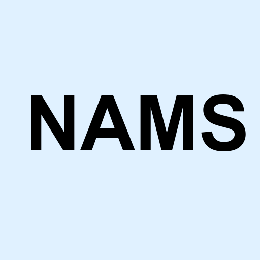 Stock nams logo