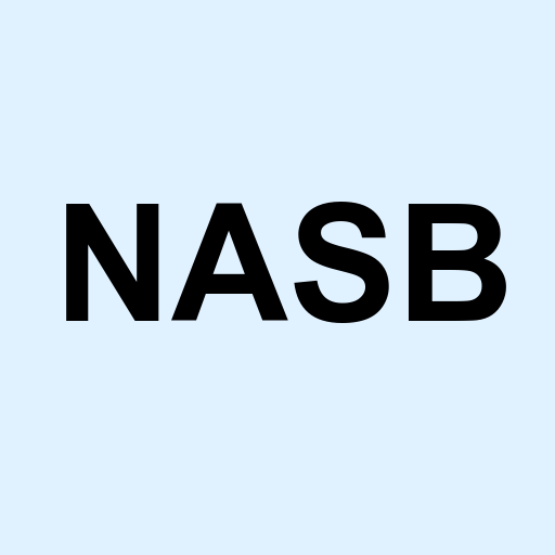 Stock NASB logo
