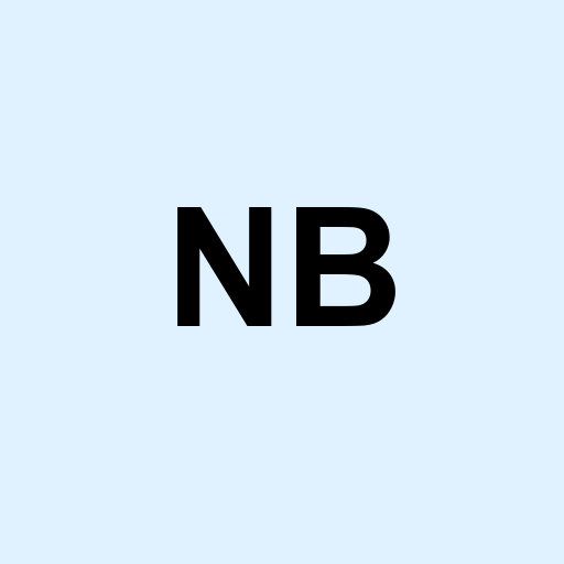 Stock nb logo