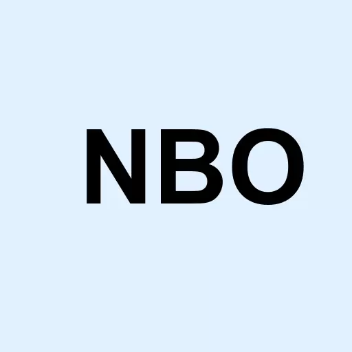 Neuberger Berman New York Municipal Fund Inc. Logo