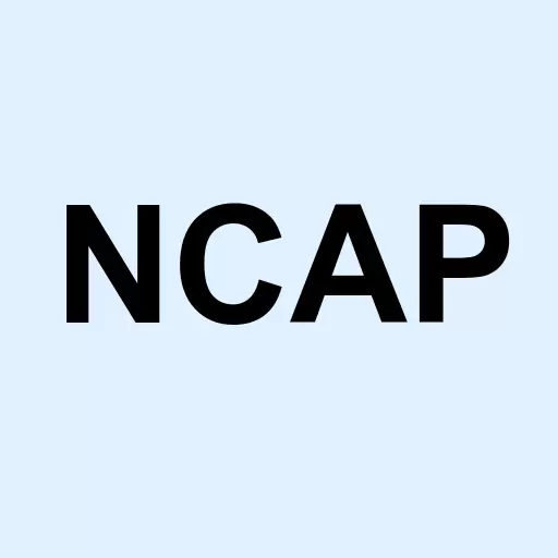 Northsight Capital Inc Logo