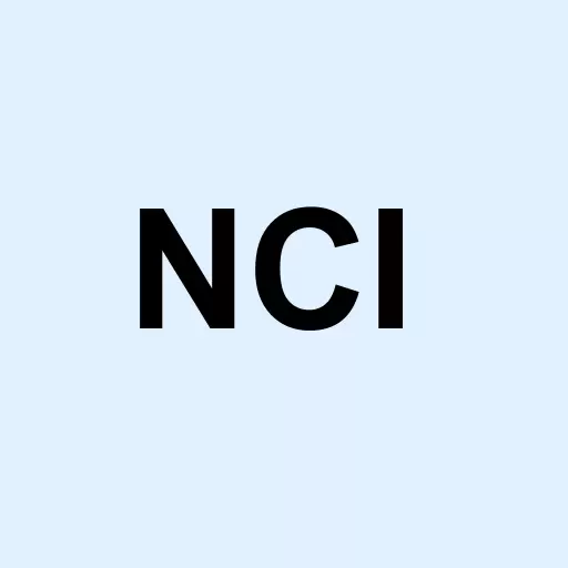 Navigant Consulting Inc. Logo