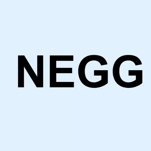 Newegg Commerce Inc. Logo