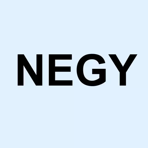 Nation Energy Inc Logo