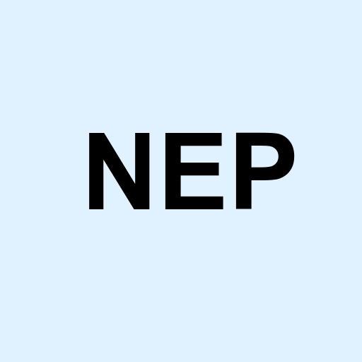 Stock NEP logo
