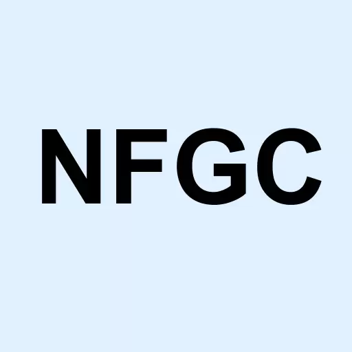 New Found Gold Corp Logo