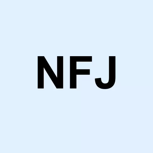 AllianzGI NFJ Dividend Interest & Premium Strategy Fund Logo