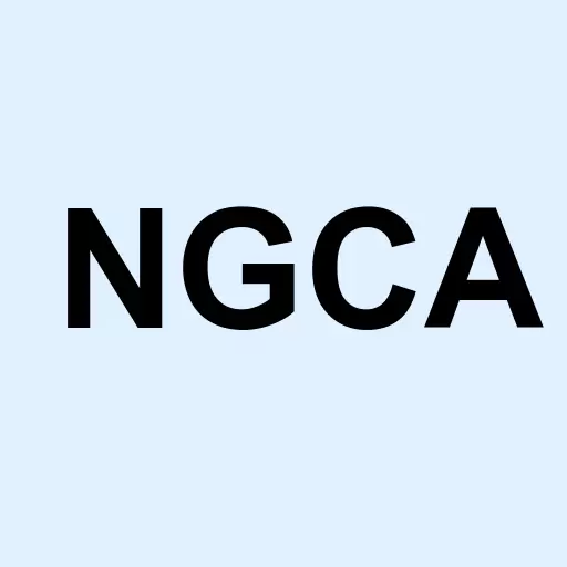 NextGen Acquisition Corp. II Logo