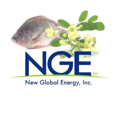 New Global Energy Inc Logo