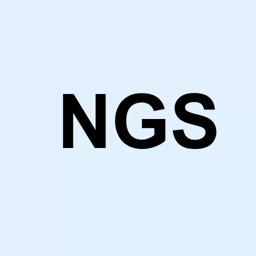 Natural Gas Services Group Inc. Logo