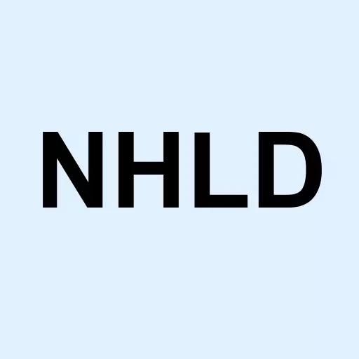 National Holdings Corporation Logo