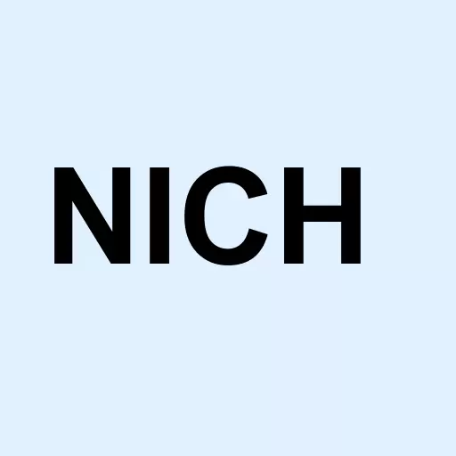Nitches Inc Logo
