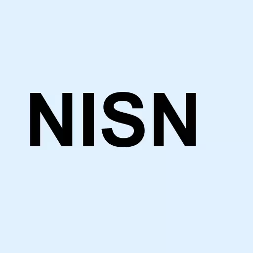 NiSun International Enterprise Development Group Co Ltd Cl A Logo