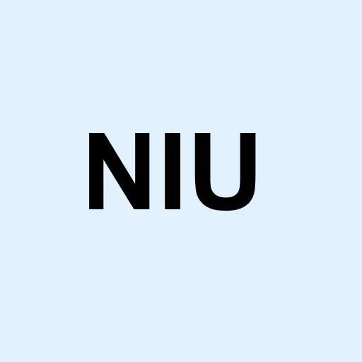 Niu Technologies Logo