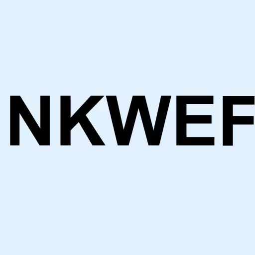 Nkwe Platinum Ltd Ord Logo