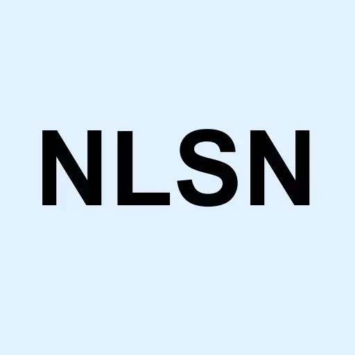 Nielsen N.V. Logo
