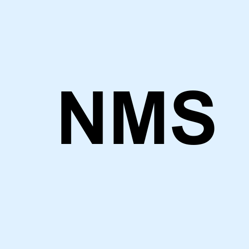 Stock NMS logo