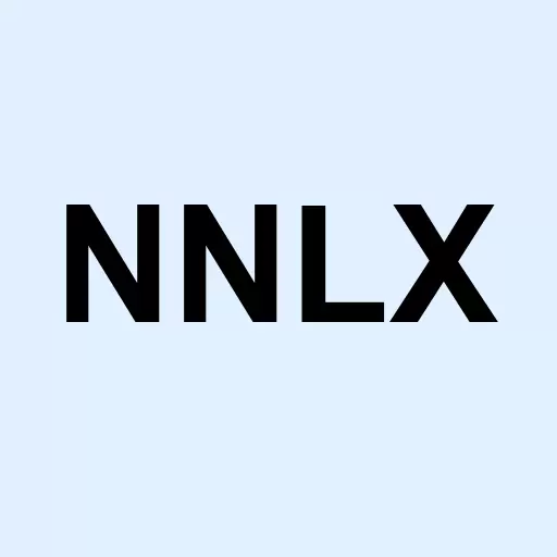 Nanologix Inc Logo