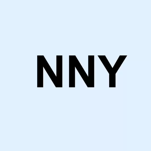 Nuveen New York Municipal Value Fund Inc. Logo