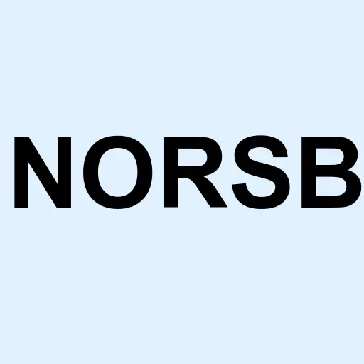 North State Telecommunications Corp. Logo