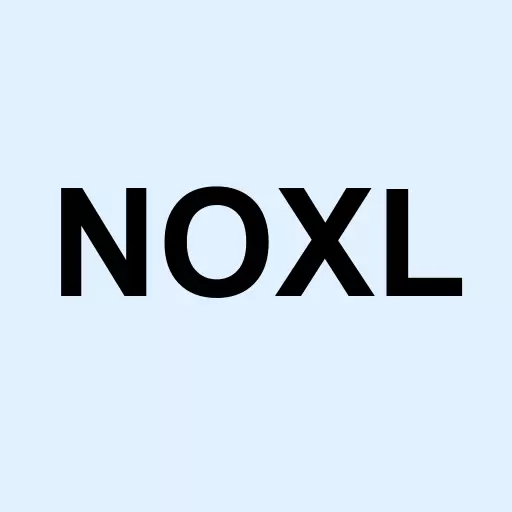 Noxel Corp Logo