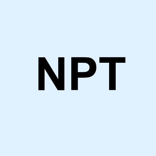 Stock npt logo