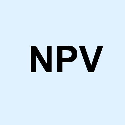 Stock npv logo