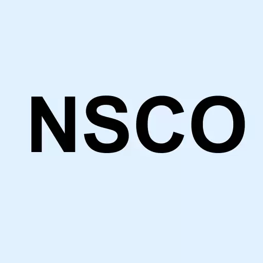 Nesco Holdings Inc Logo
