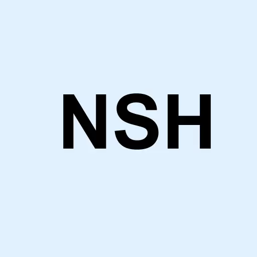 NavSight Holdings Logo