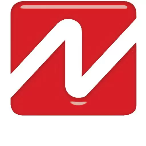 NAPCO Security Technologies Inc. Logo