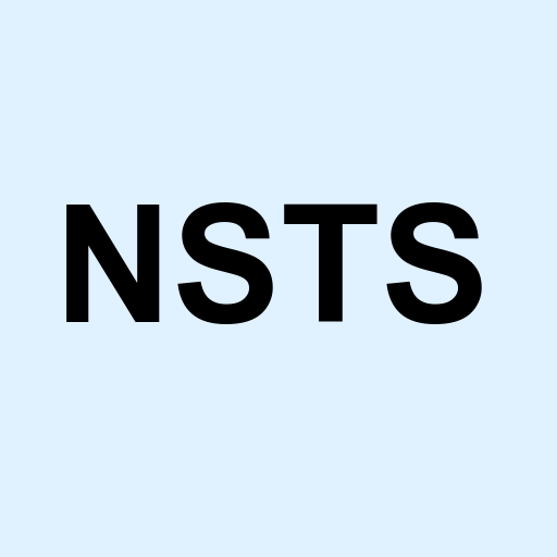 Stock NSTS logo