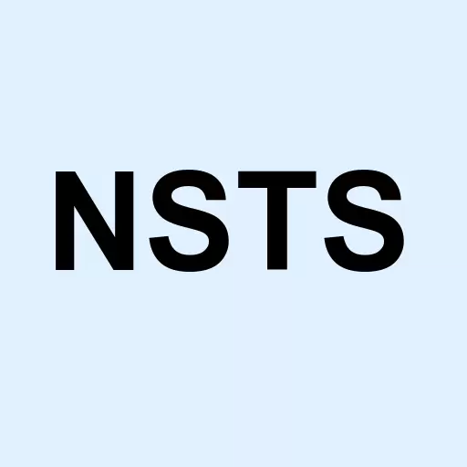 NSTS Bancorp Inc. Logo