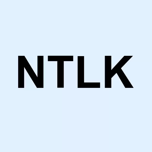 Net Talk.Com Inc Logo