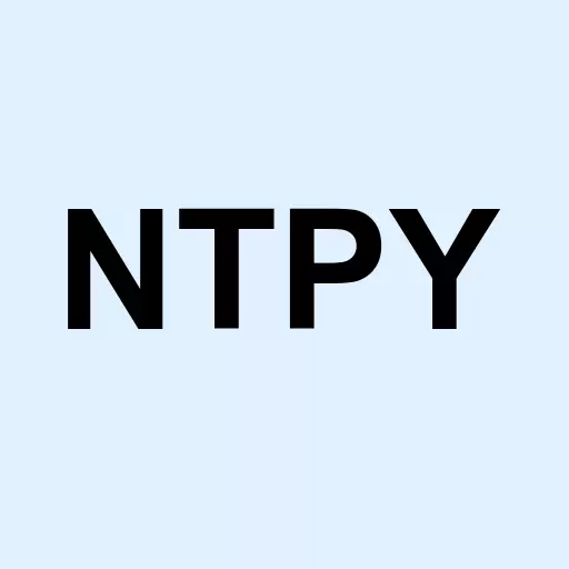 NetPay International Inc Logo