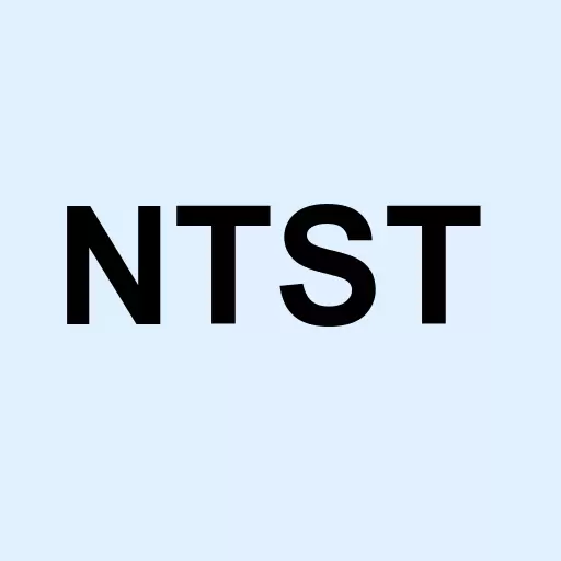NetSTREIT Corp. Logo