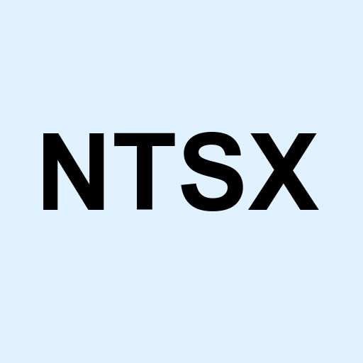 Stock NTSX logo