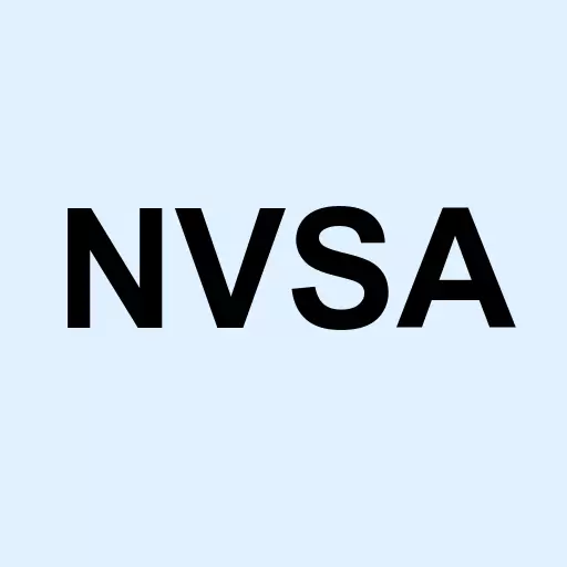 New Vista Acquisition Corp Logo